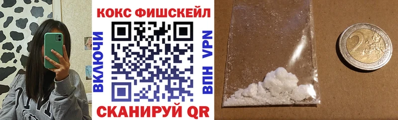 цены наркотик  Нолинск  hydra tor  COCAIN Fish Scale 