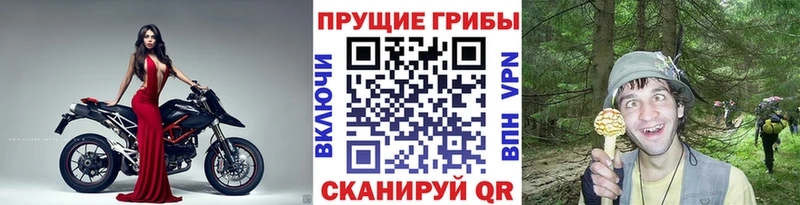 Псилоцибиновые грибы мухоморы  сколько стоит  ОМГ ОМГ ссылки  Нолинск 
